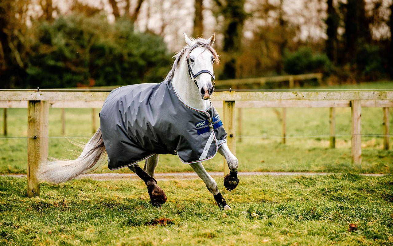 Schimmel mit Horseware Pferdedecke auf einer Weide