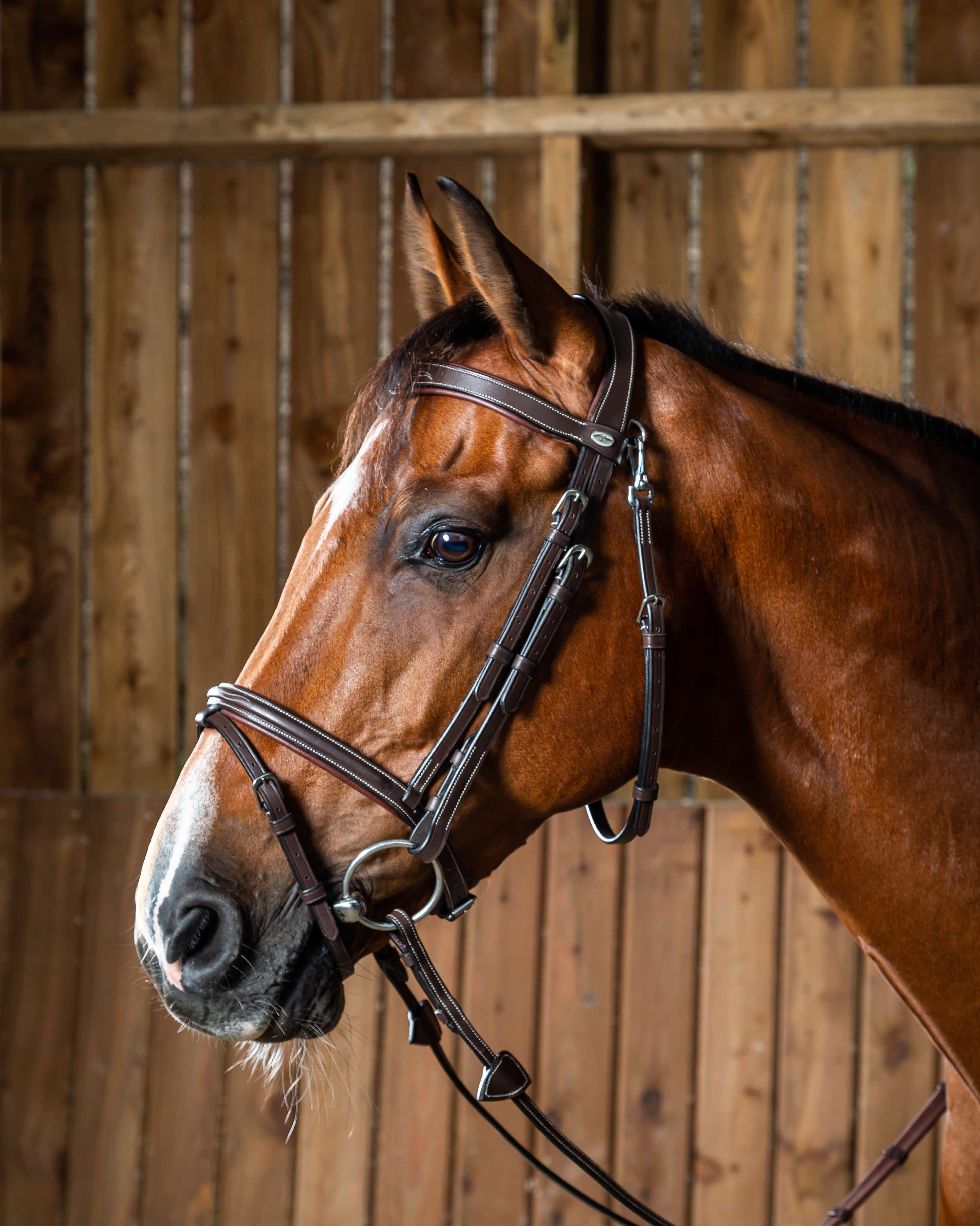 Trense kombiniert mit Karabiner in braun