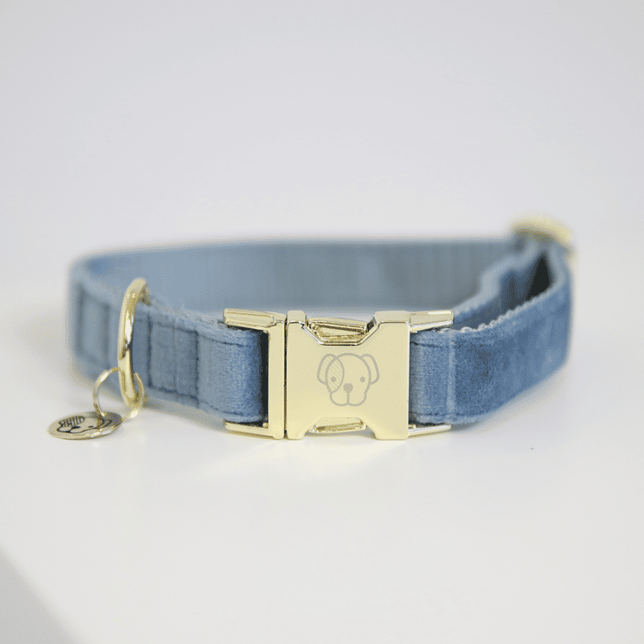 Hundehalsband Velvet