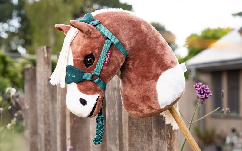 Hobby Horse im Garten