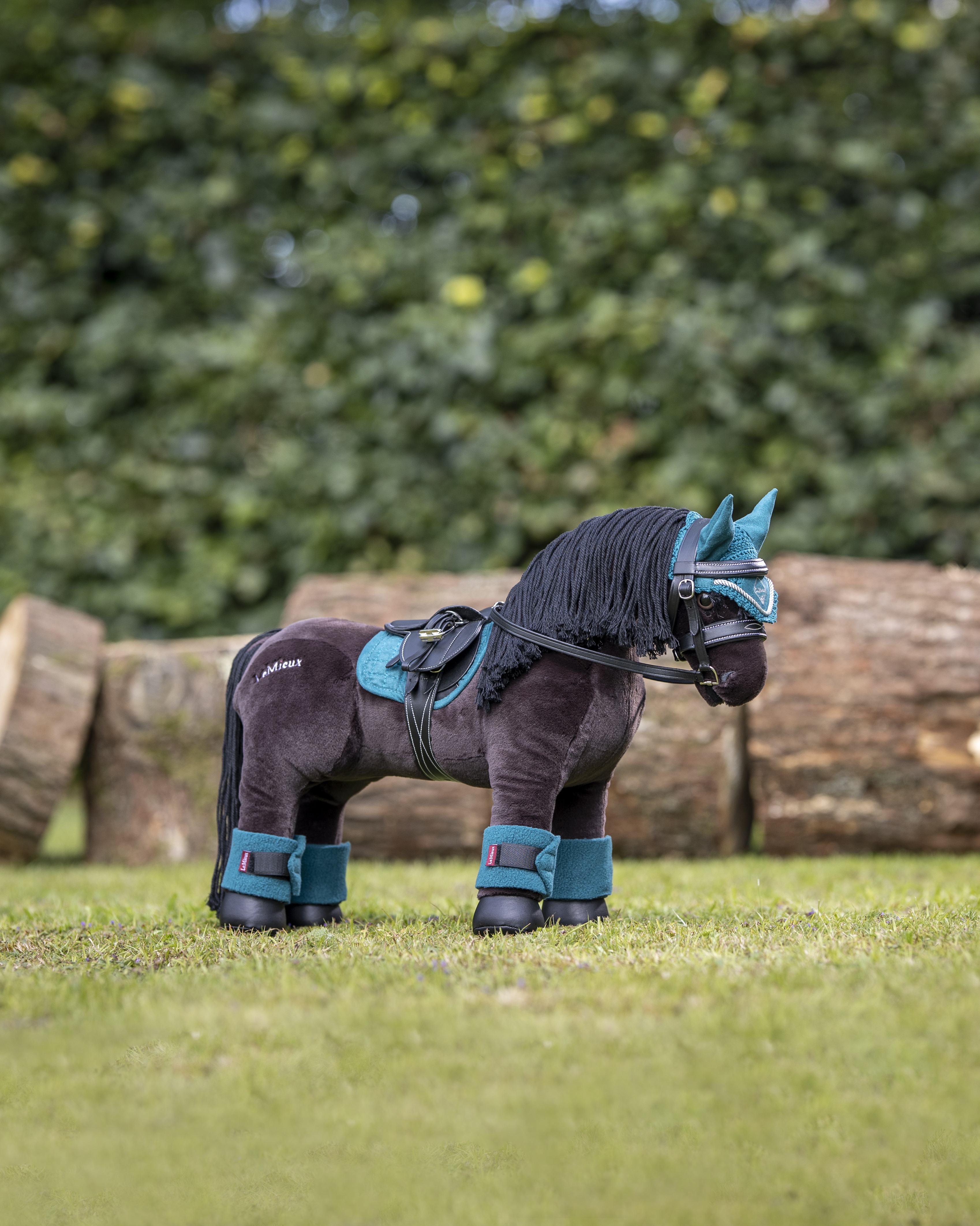 Toy Pony