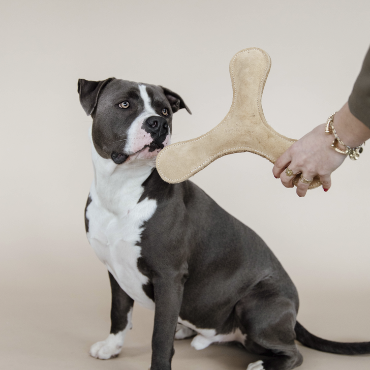 Hundespielzeug Pastell Bumerang