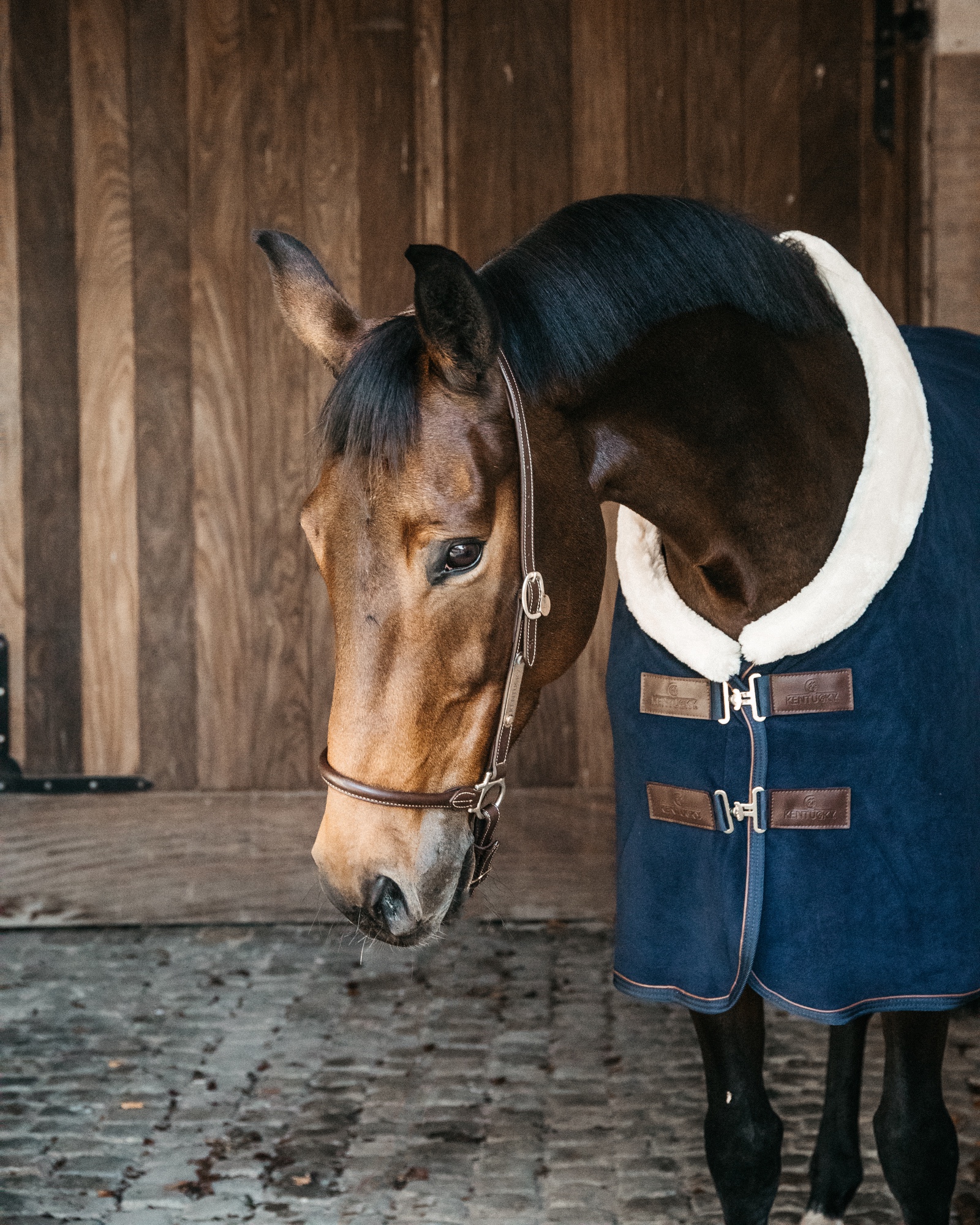 Abschwitzdecke Fleece Show Heavy