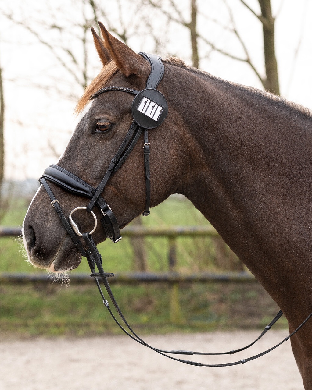 Startnummernhalter Modeste Round