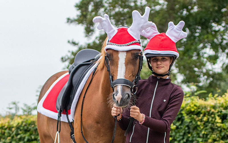 Mädchen und Pferd mit weihnachtsartikeln