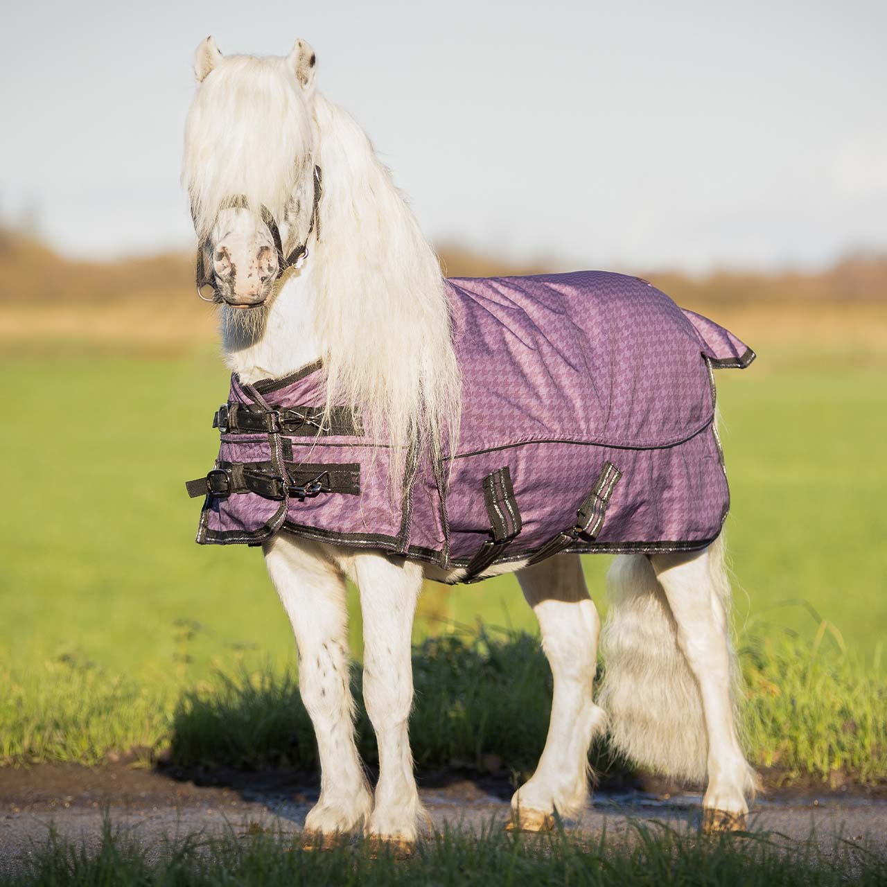 Outdoordecke Falabella 600D Turnout Collection 150gr