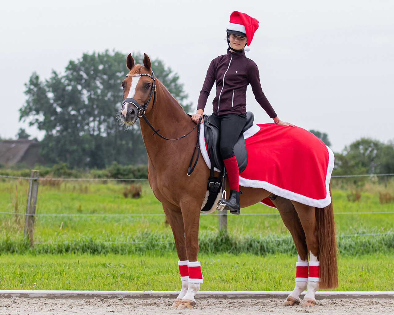 Ausreitdecke Weihnachten