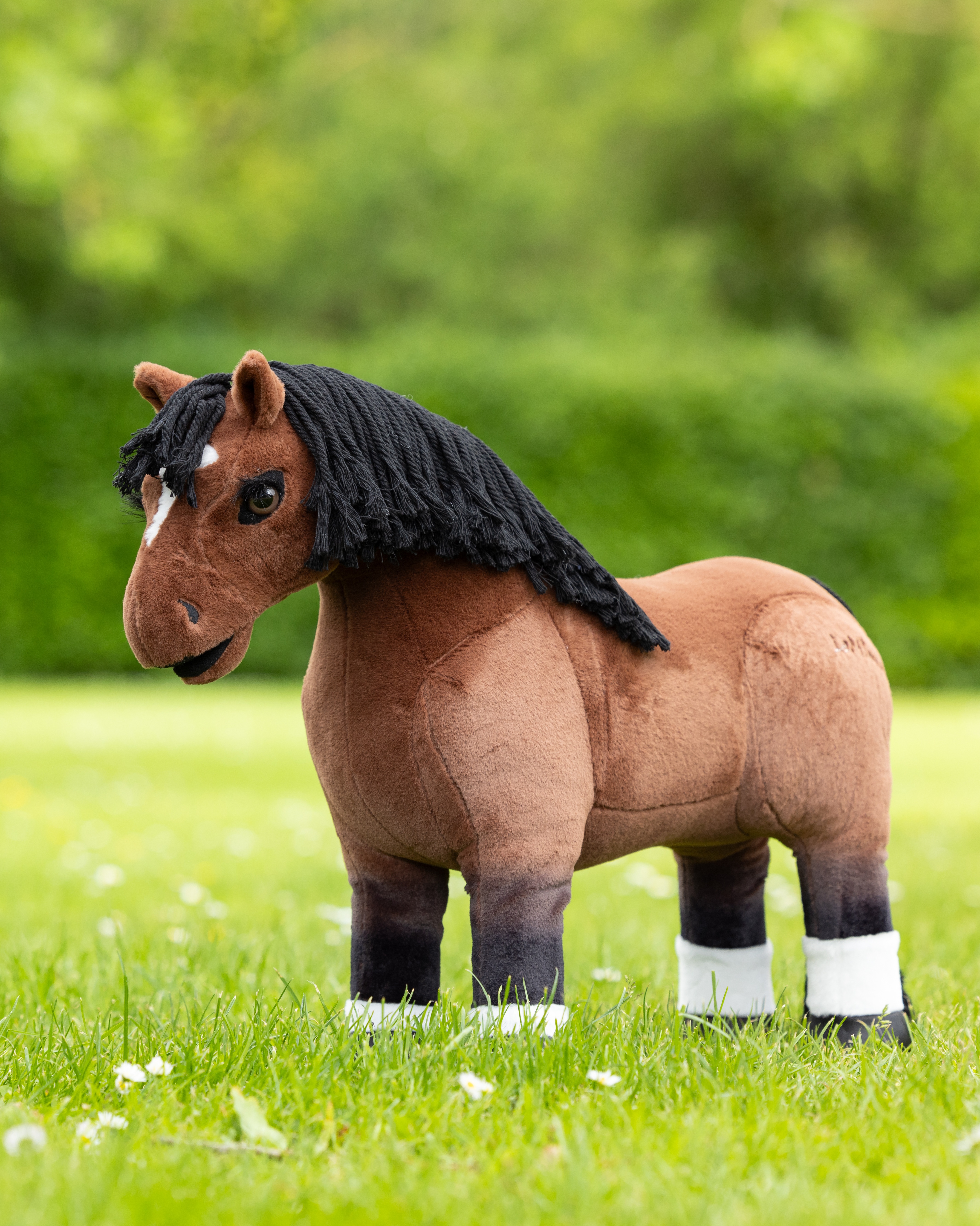 Toy Pony Chancer