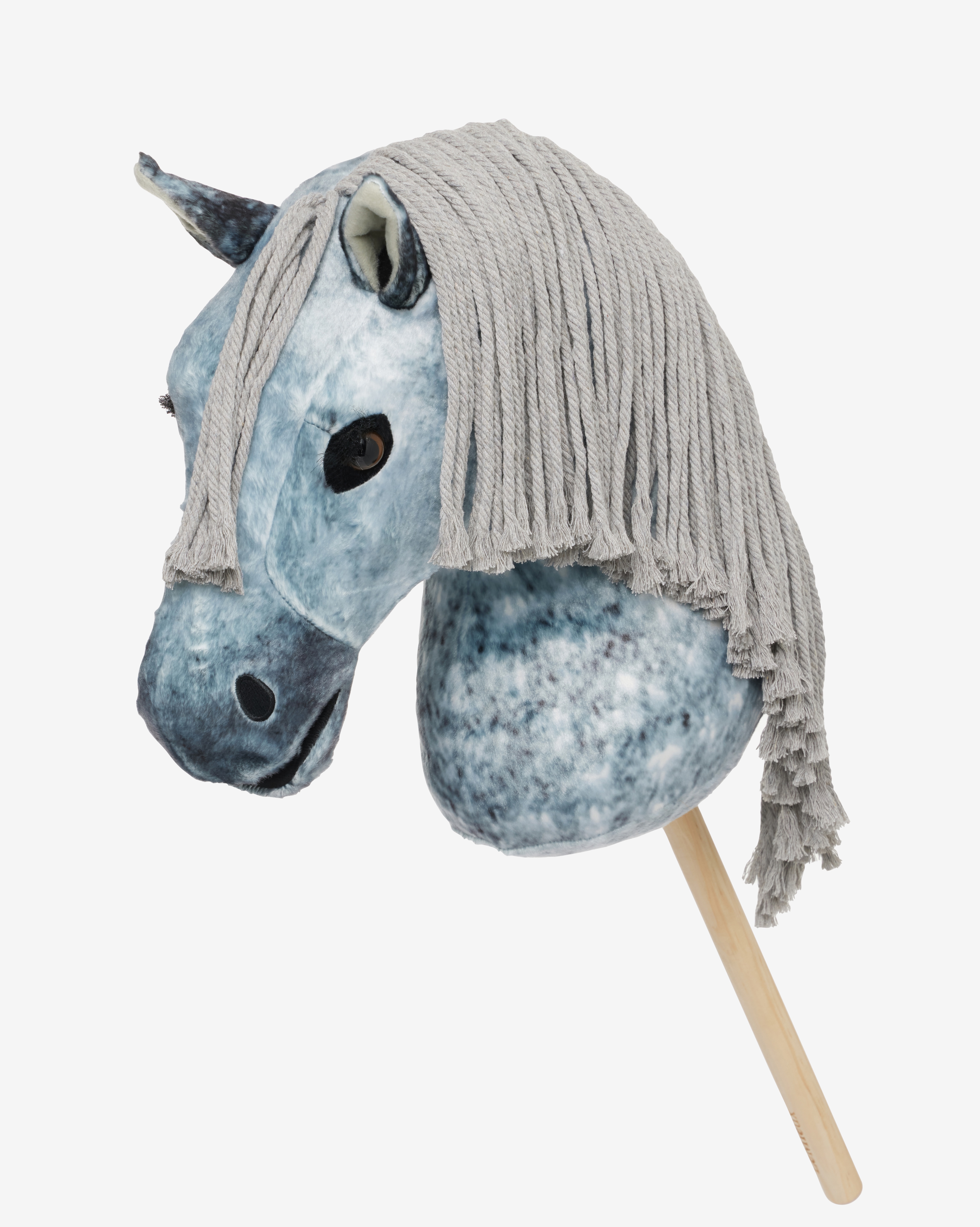 Hobby Horse