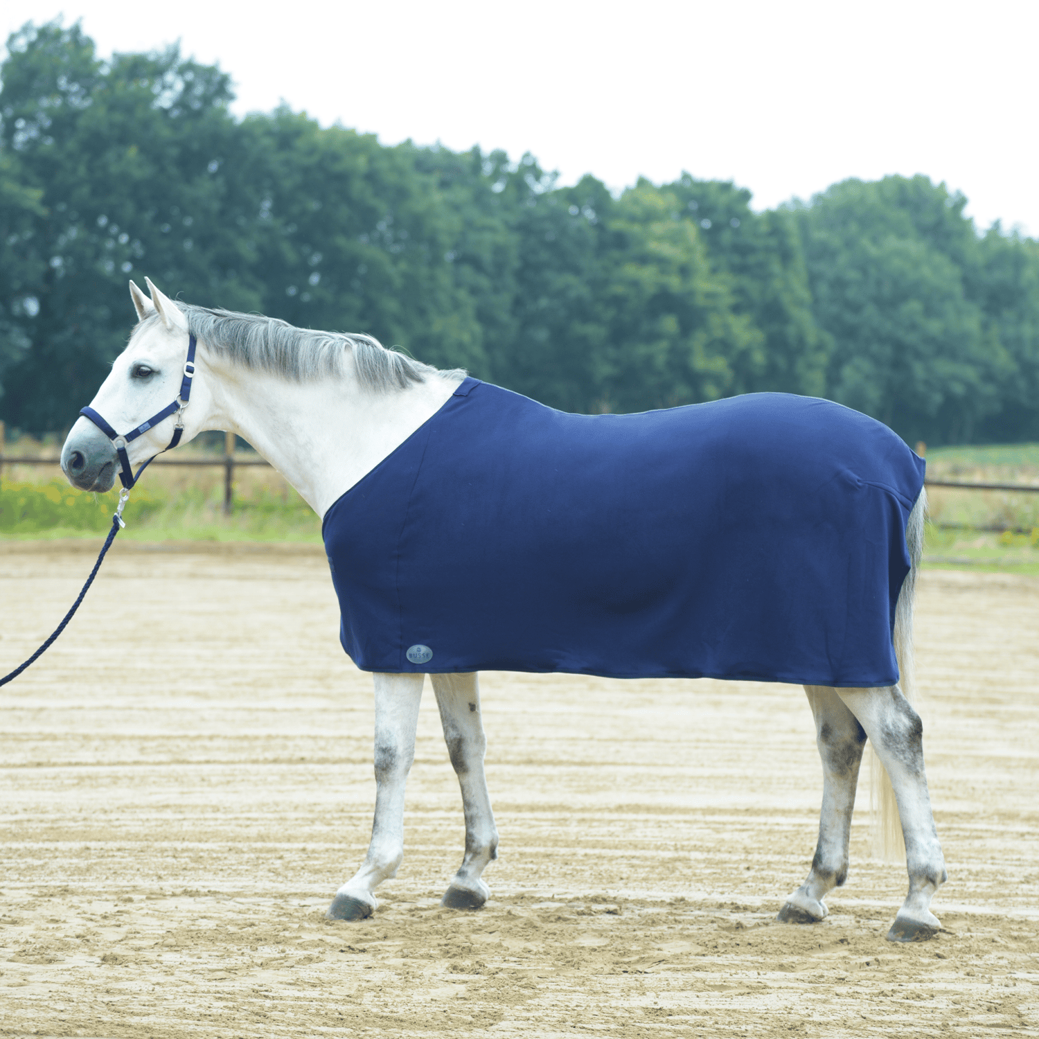 BUSSE Abschwitzdecke BASIC II