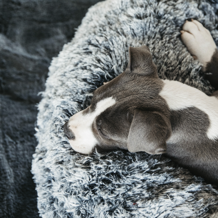 Hundebett komfort Donut