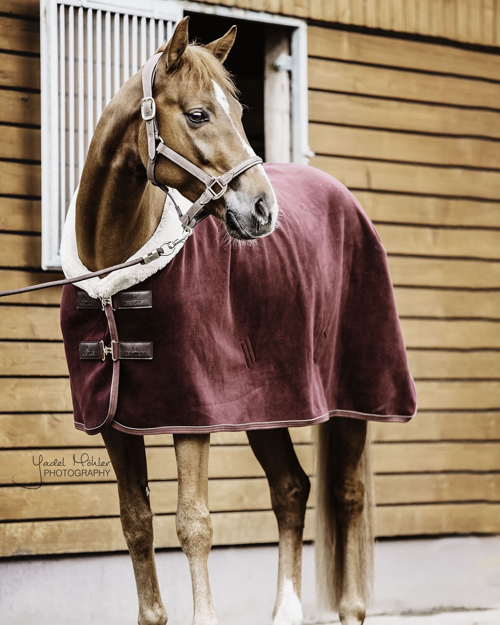 Abschwitzdecke Fleece Show Heavy