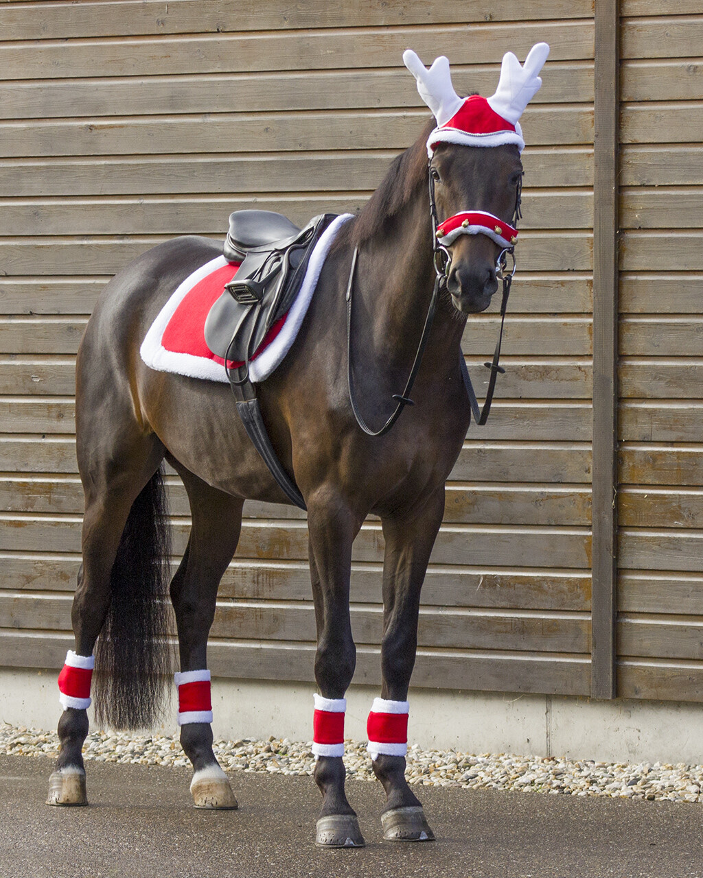 Schabracke Weihnachten