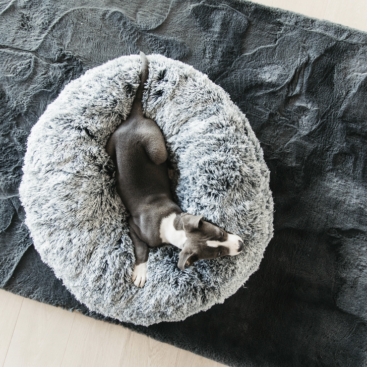 Hundebett komfort Donut