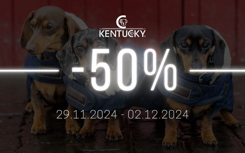 Black Week Aktion Kentucky Dog