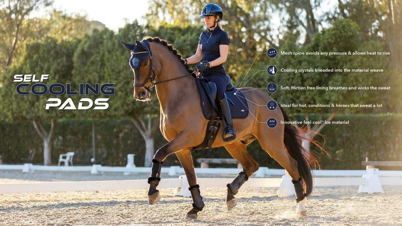 Cooling Dressage Pad in Navy