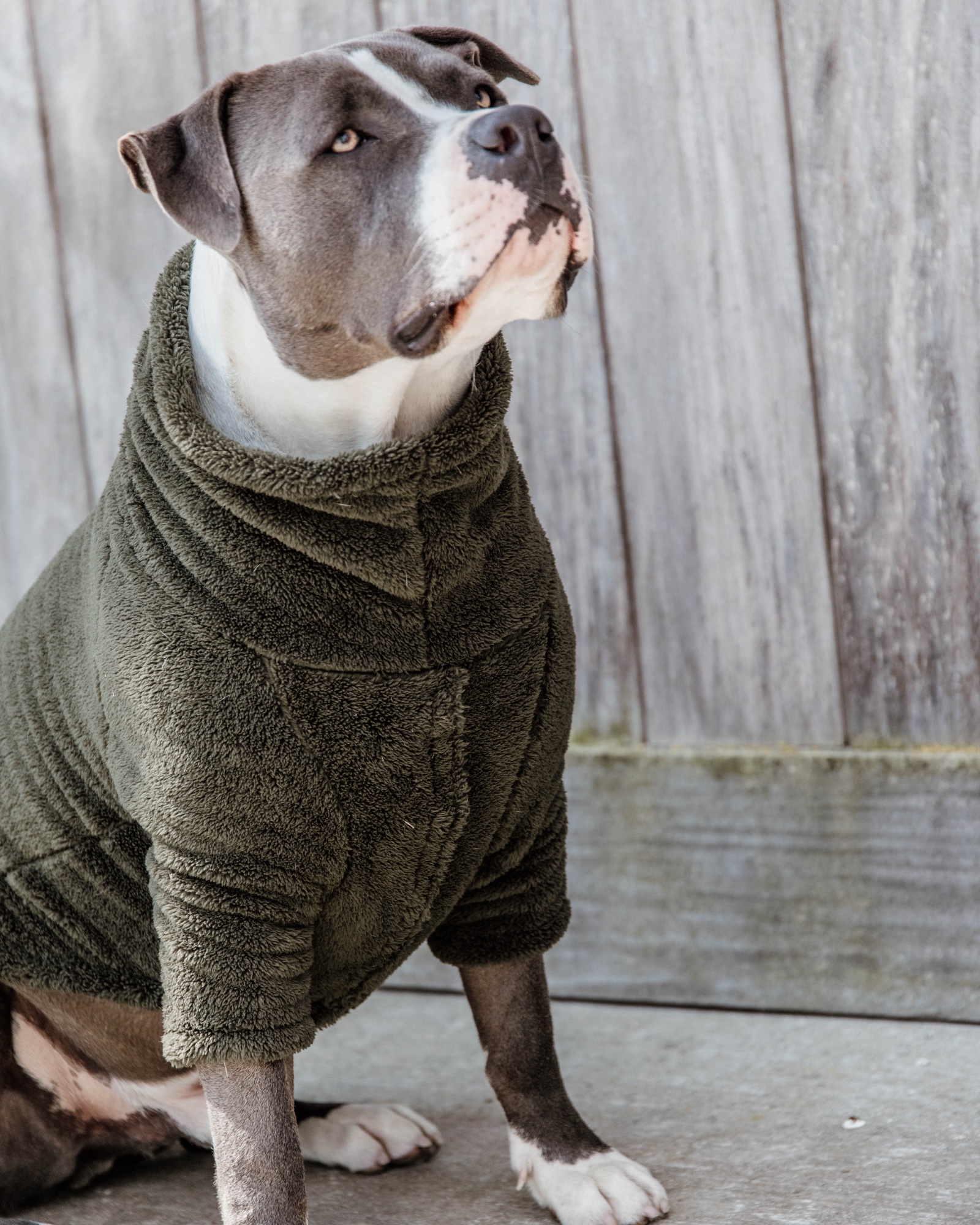 Hundepullover Teddy Fleece