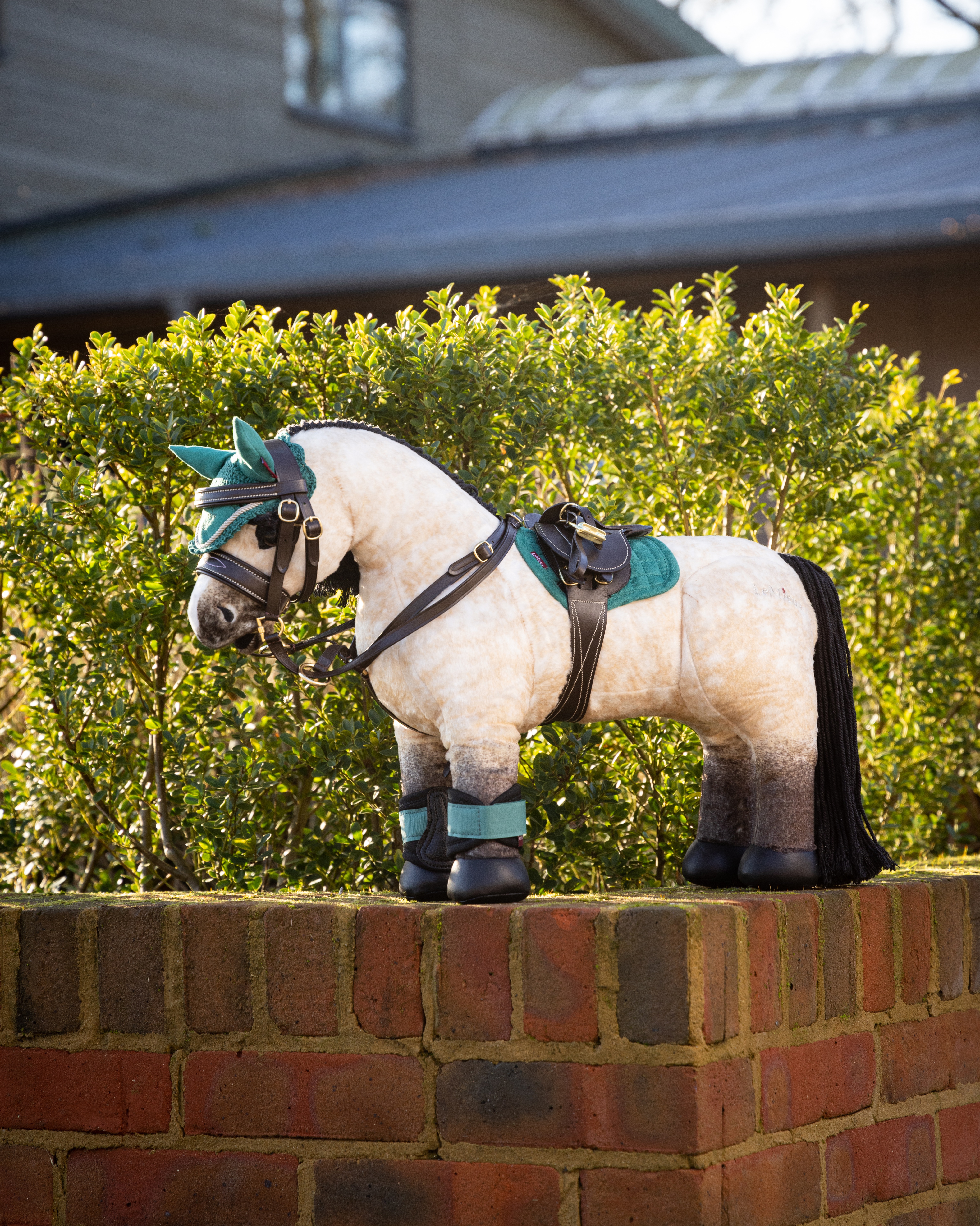 Toy Pony Martingal in schwarz