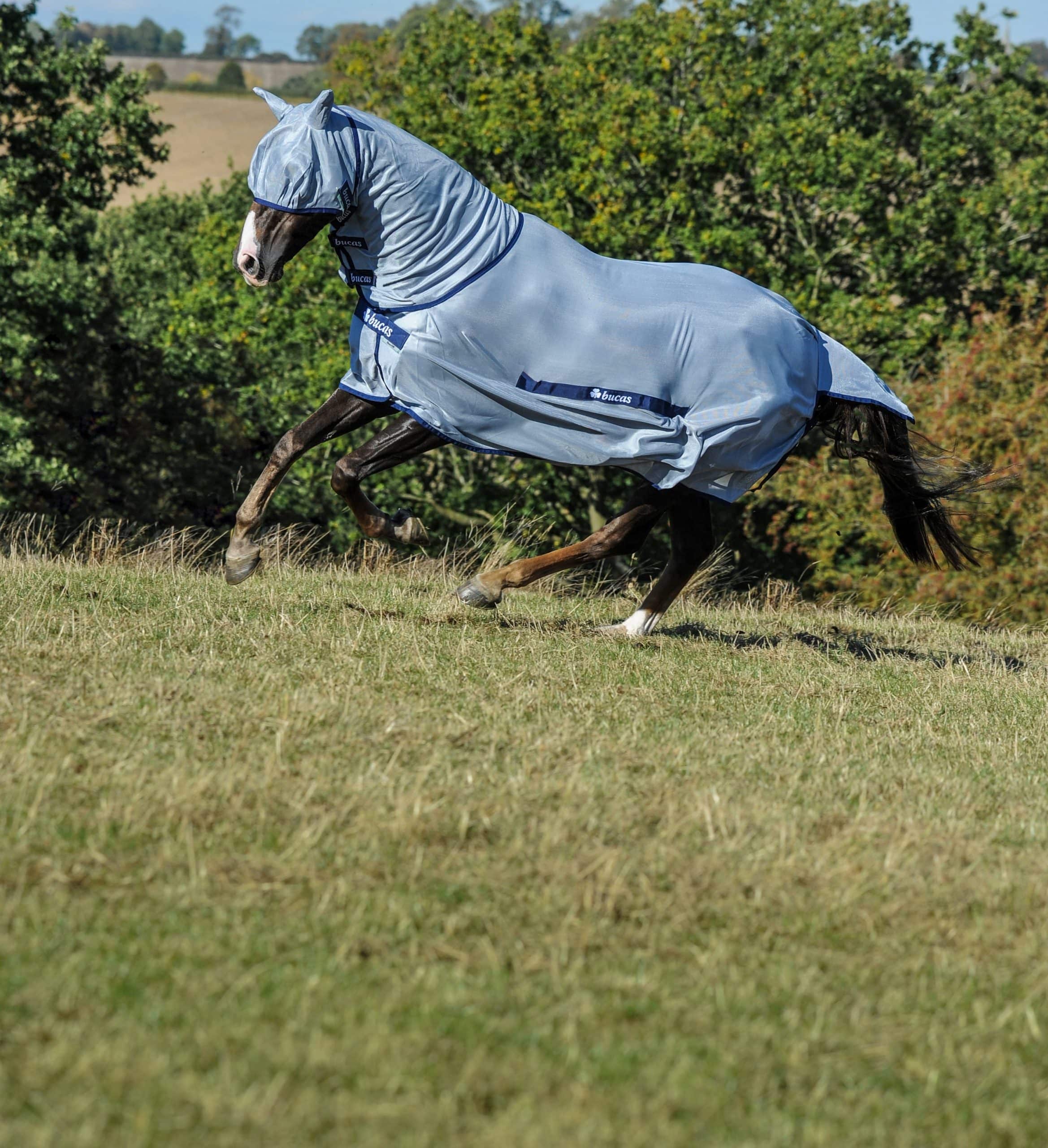 Fliegendecke Buzz-Off & Neck in Blue