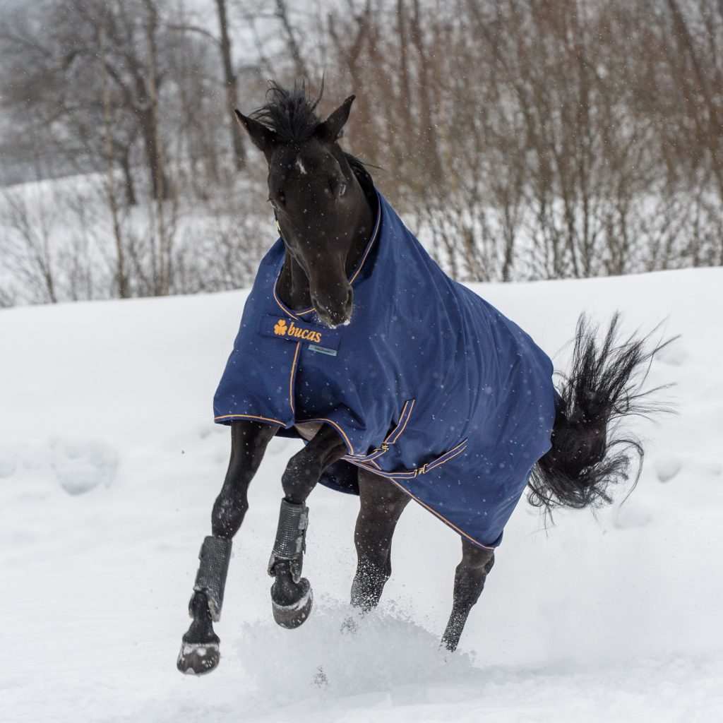 Outdoordecke Irish Turnout 150 g in Navy/gold