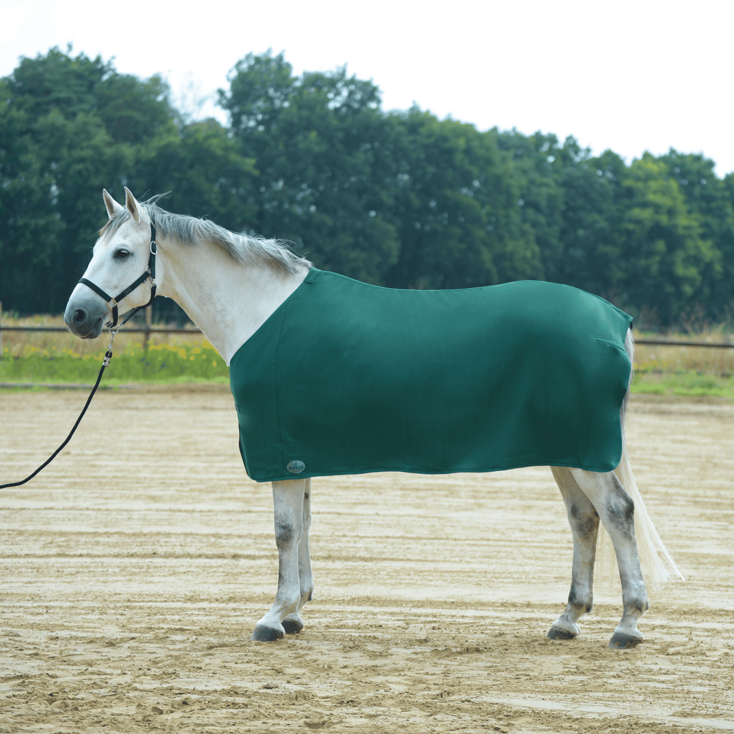 BUSSE Abschwitzdecke BASIC II