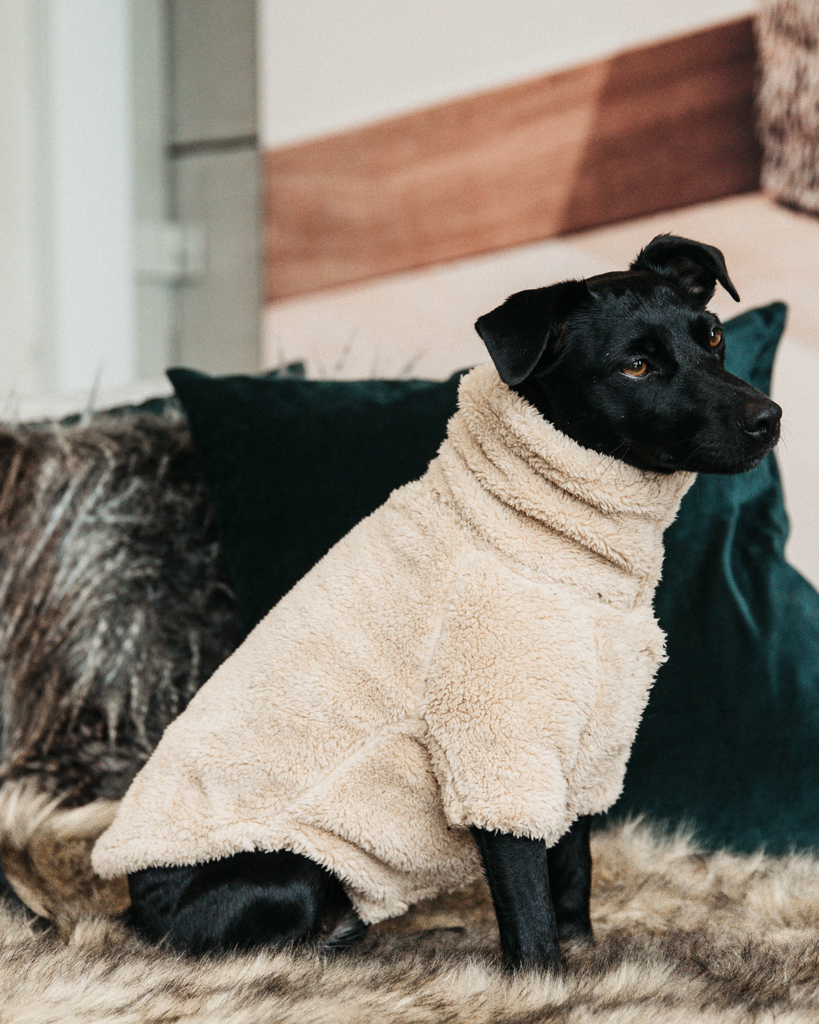 Hundepullover Teddy Fleece