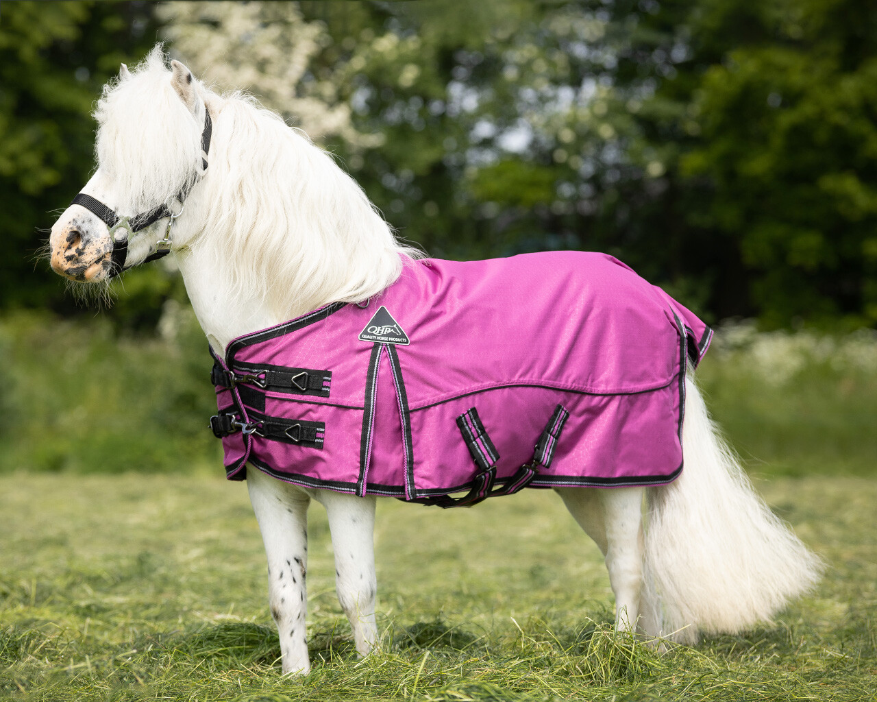 Outdoordecke Falabella Collection 0gr