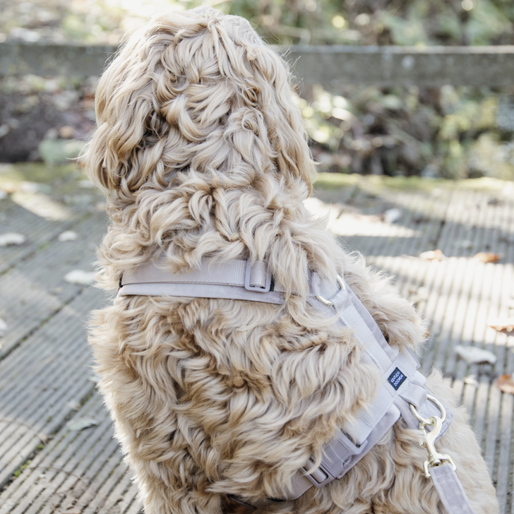 Hundegeschirr Aktiv Velvet