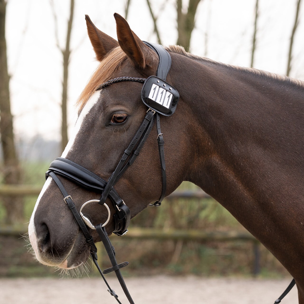 Startnummernhalter (2er-Pack)