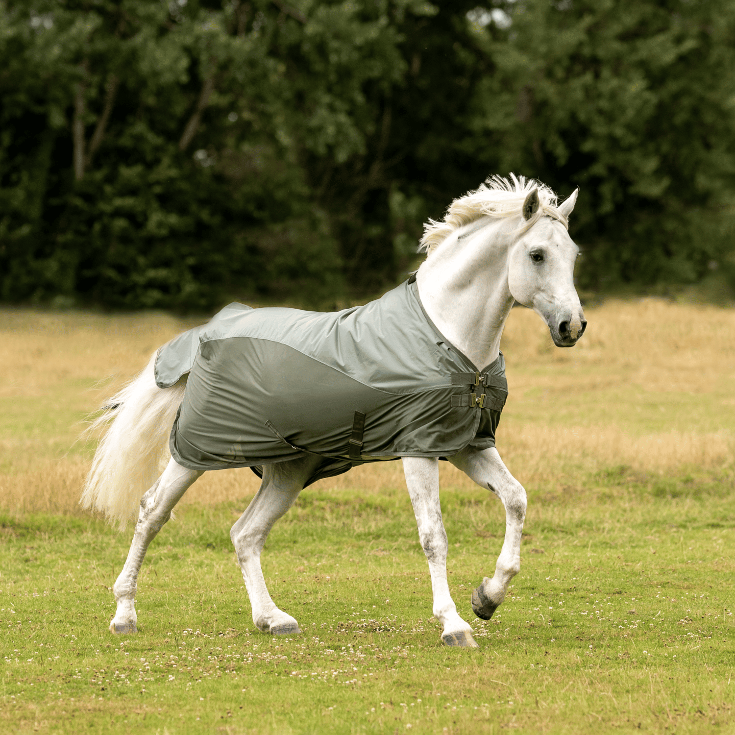 BUSSE Outdoordecke RAINFLY