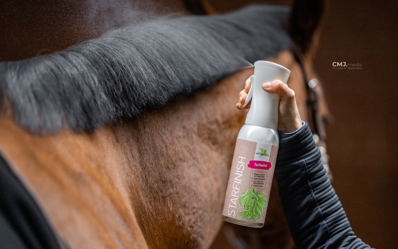 Reiterin sprüht Pferd die Mähne mit einem Mähnenspray ein