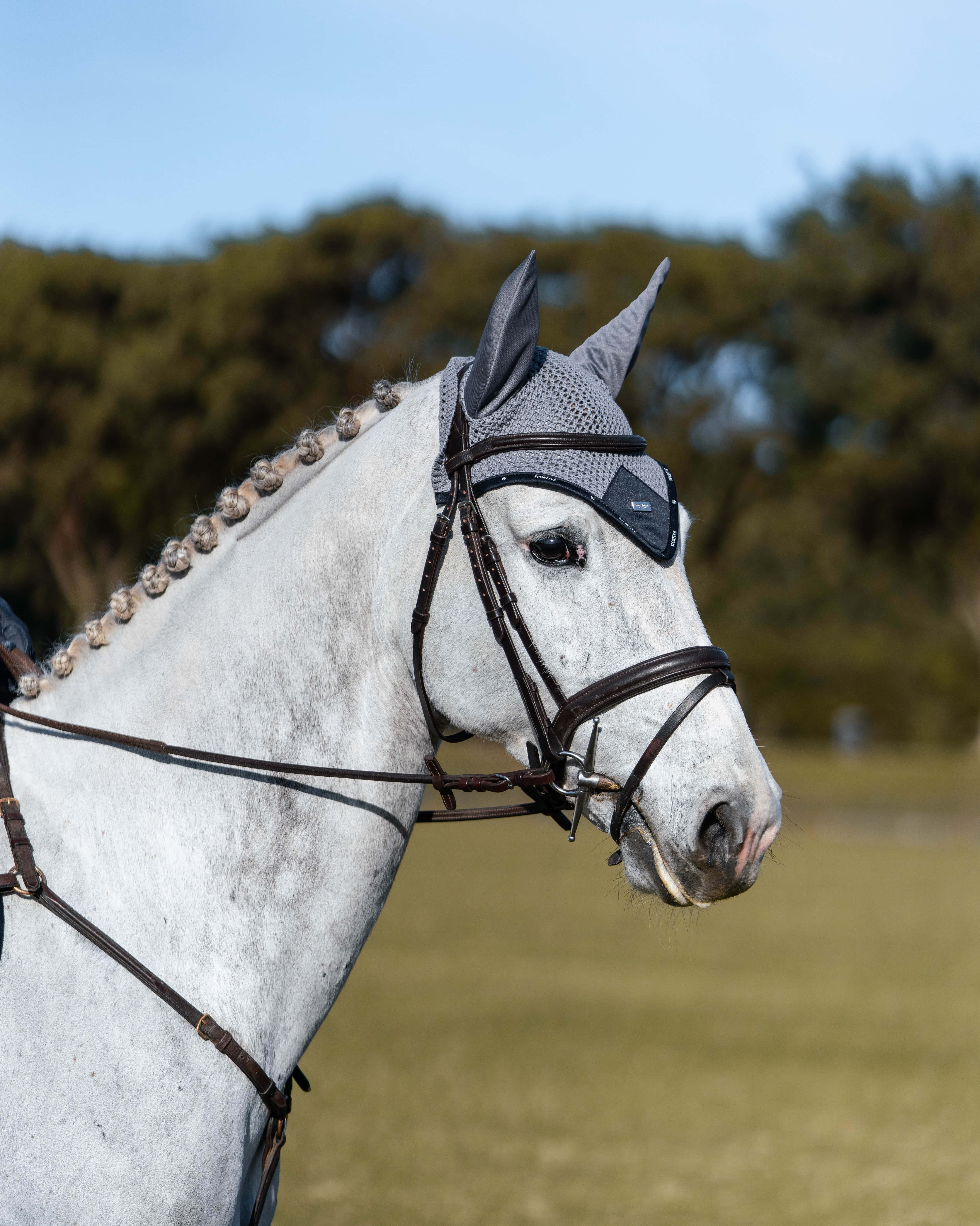 Fliegenohren Sportive