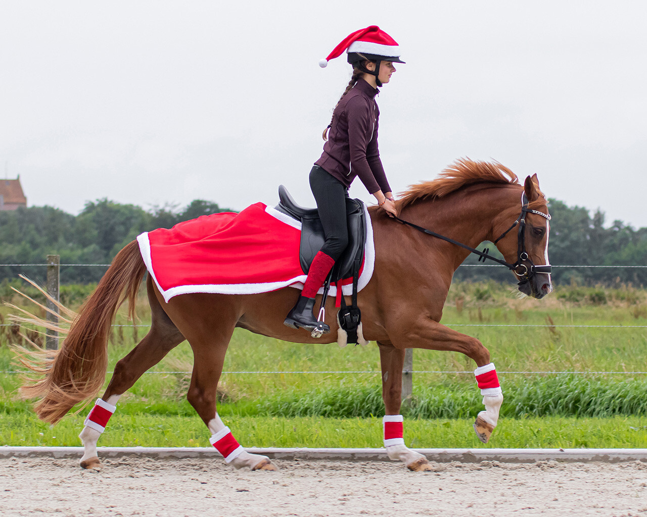 Ausreitdecke Weihnachten