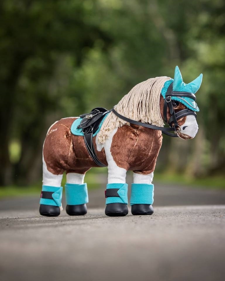 Toy Pony