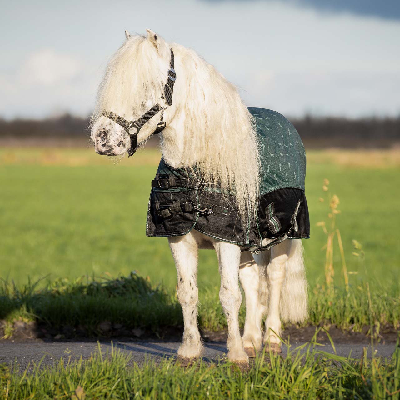 Outdoordecke Falabella 600D Turnout Collection 150gr