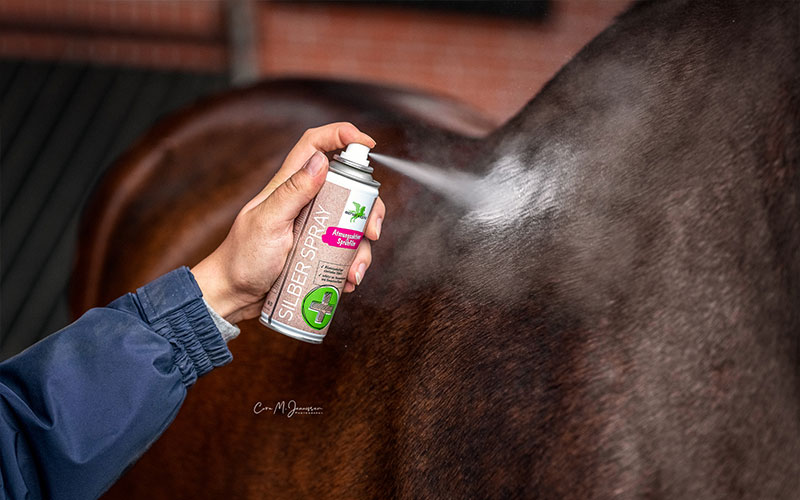 Hand mit Silber-Spray, das auf Pferd gesprüht wird