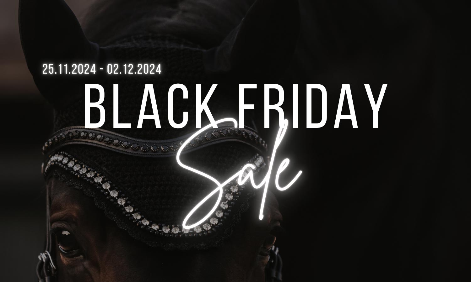 Black Friday Sale Banner