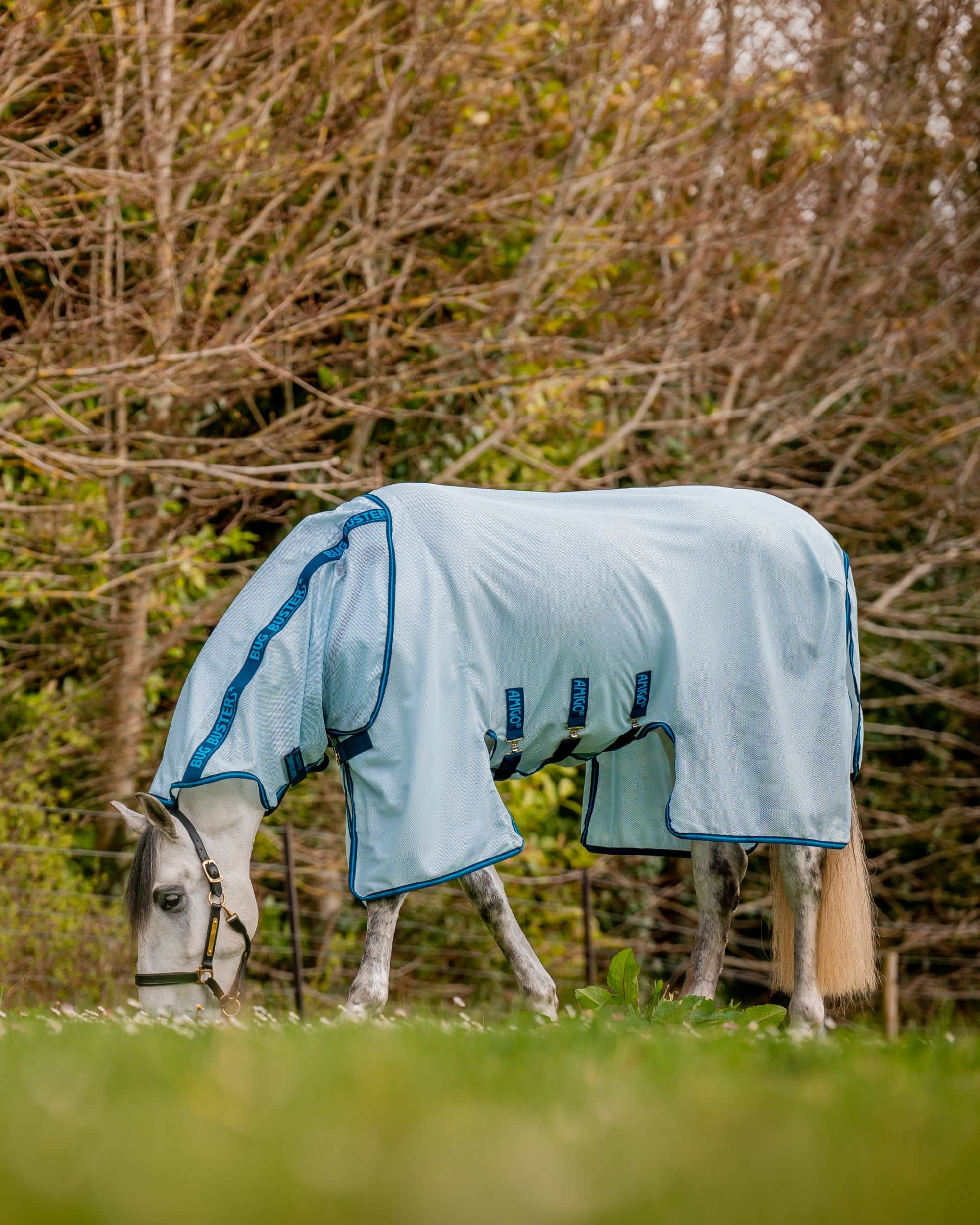 Fliegendecke Amigo Bug Buster in azure blue/navy