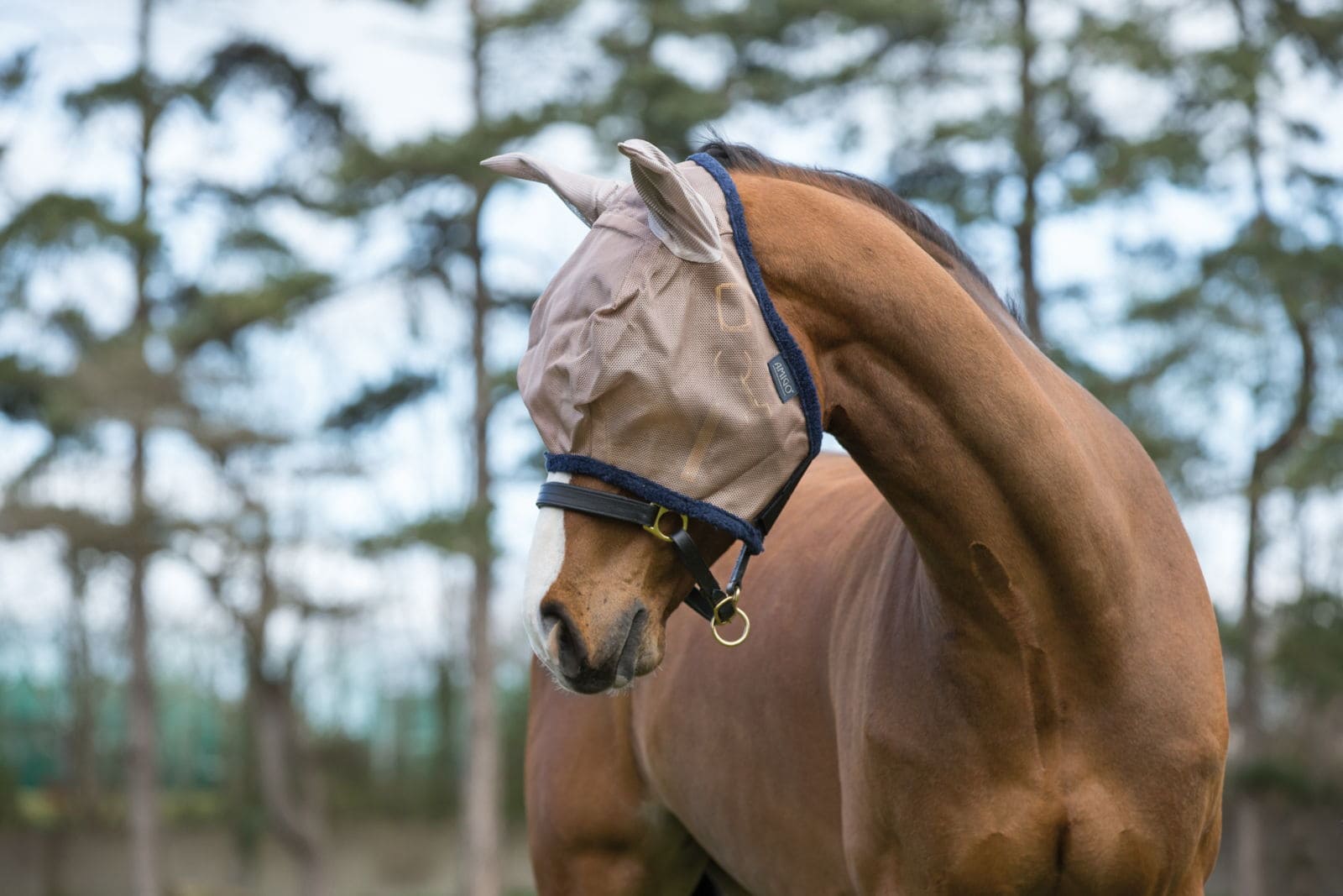 Fliegenmaske Amigo FlyMask