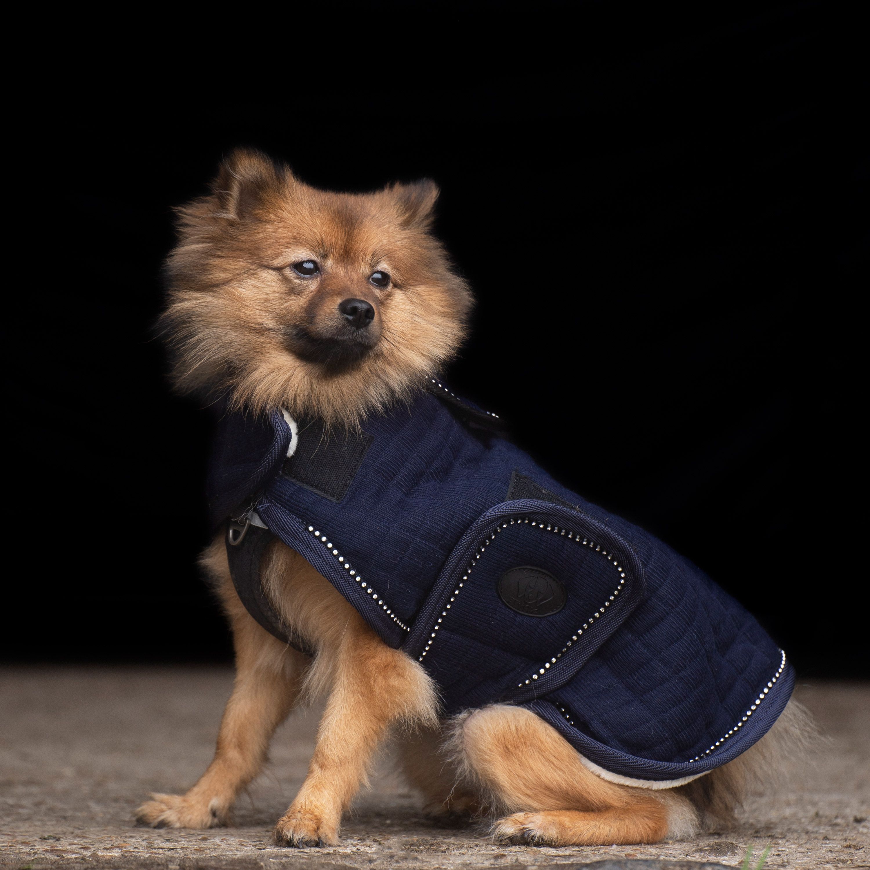 Hundemantel Franka in Navy