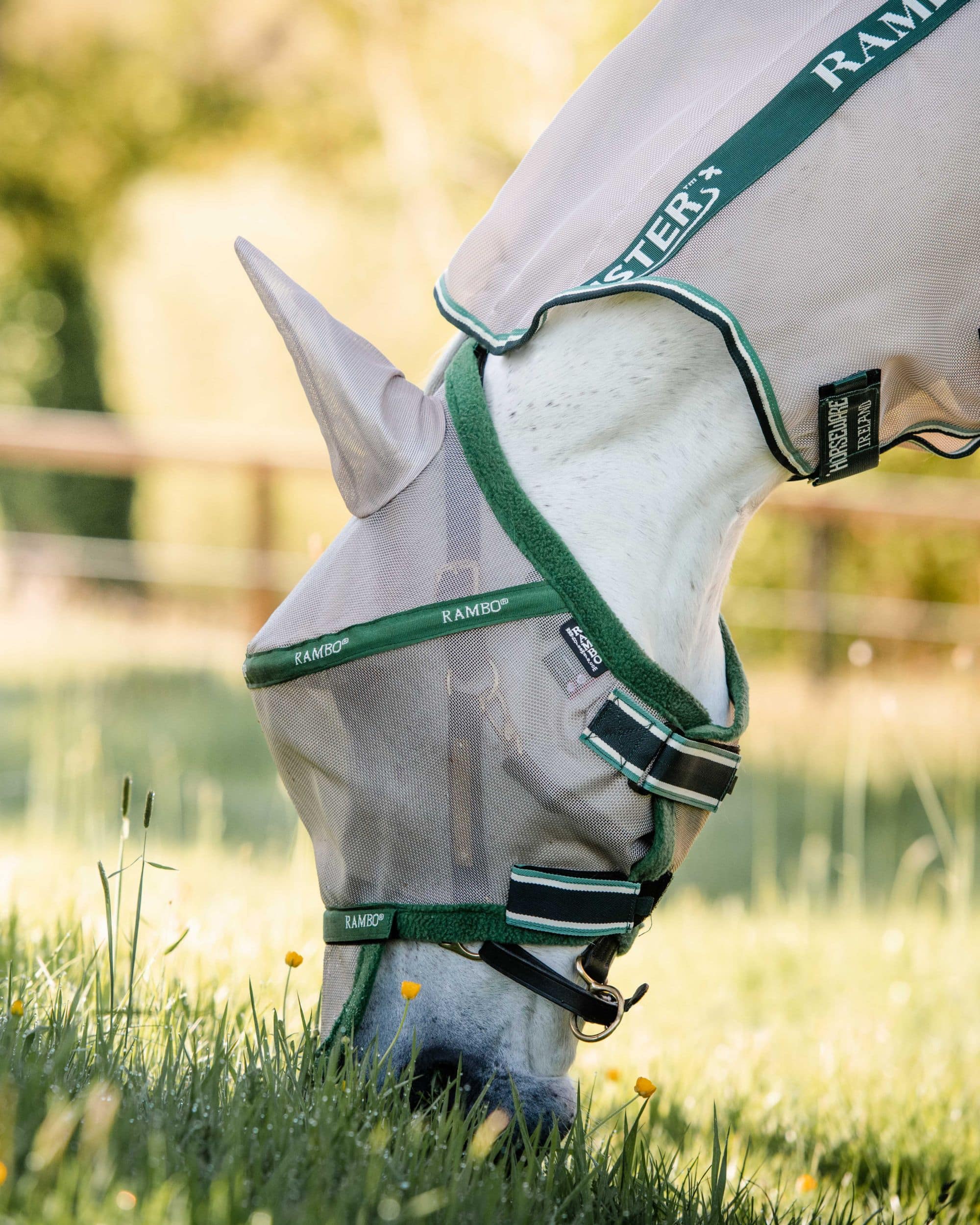 Fliegenmaske Rambo Flymask Plus non treated