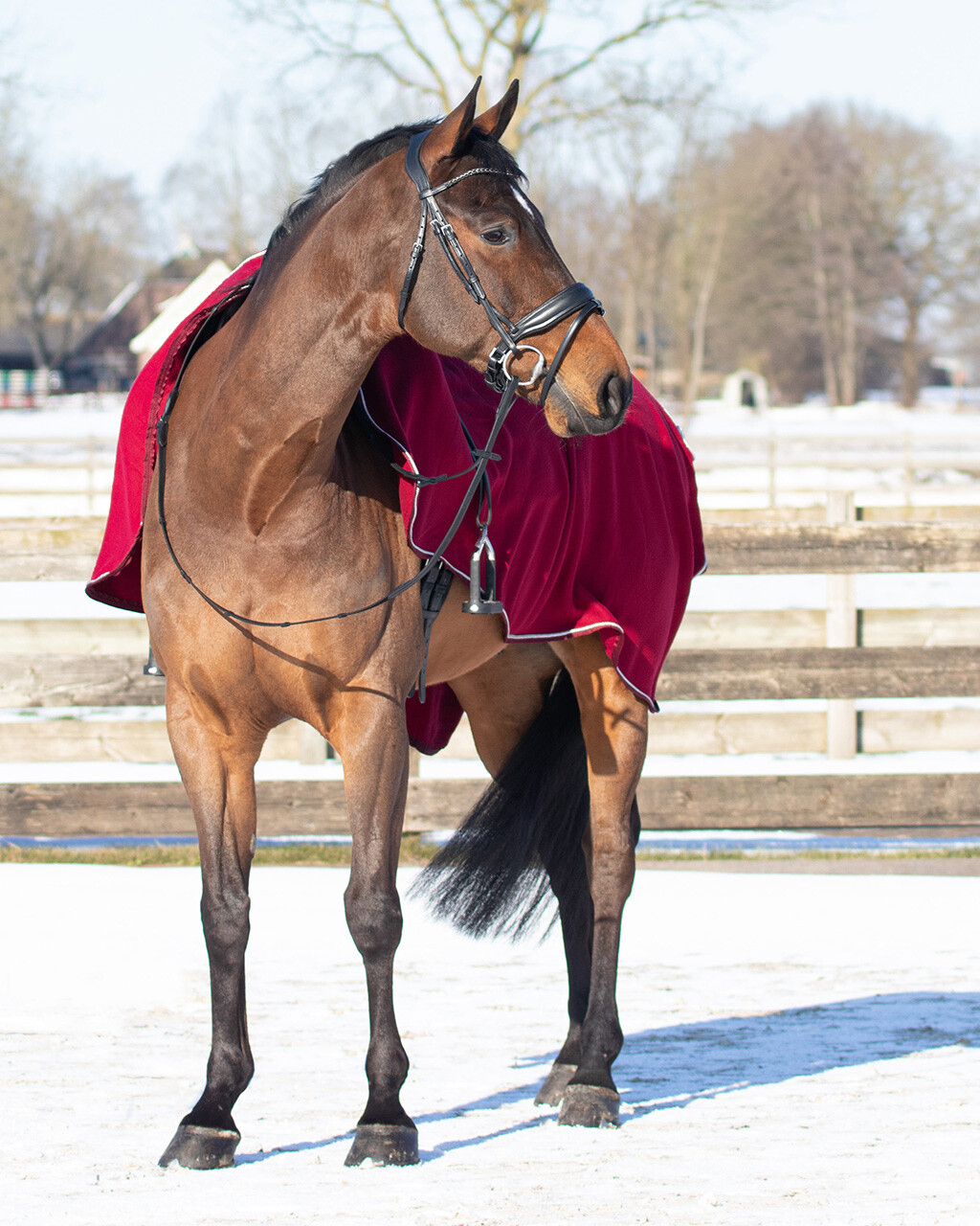 Ausreitdecke Fleece mit Ornament