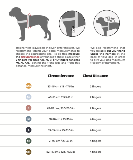 Hundegeschirr Aktiv Velvet