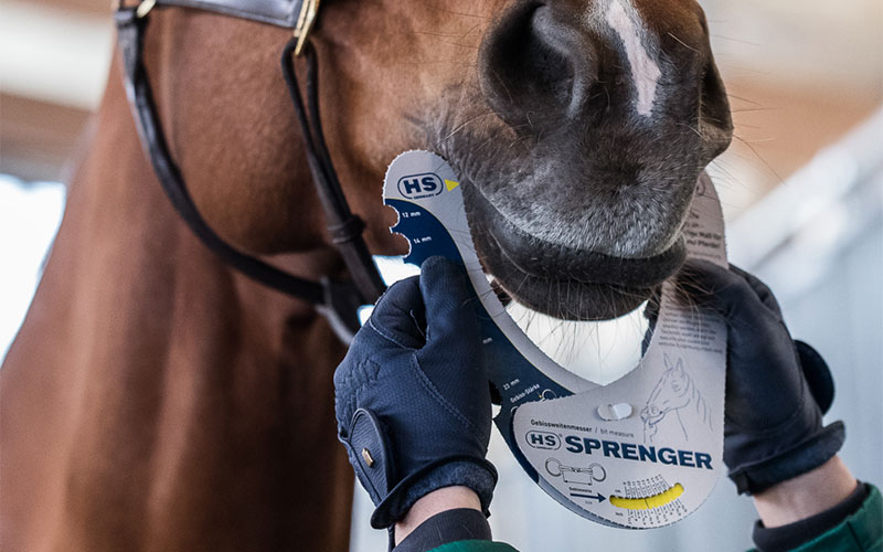 Nahaufnahme Gebissweitenmesser von SPrenger am Pferdemaul