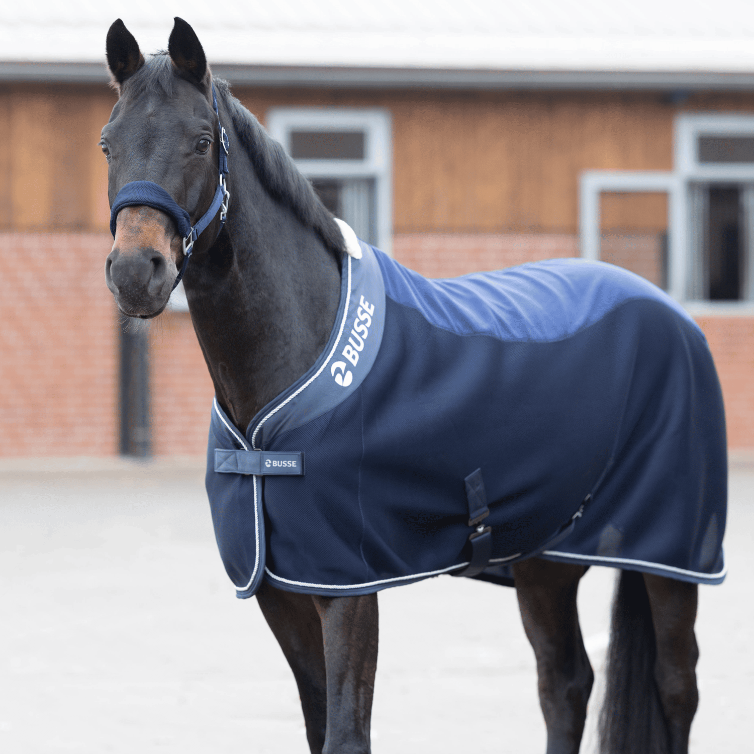 BUSSE Abschwitzdecke 3D AIR FLEECE PREMIUM