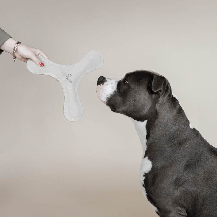 Hundespielzeug Pastell Bumerang