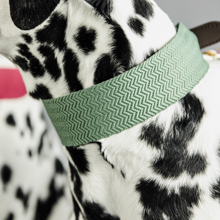 Hundehalsband Jacquard