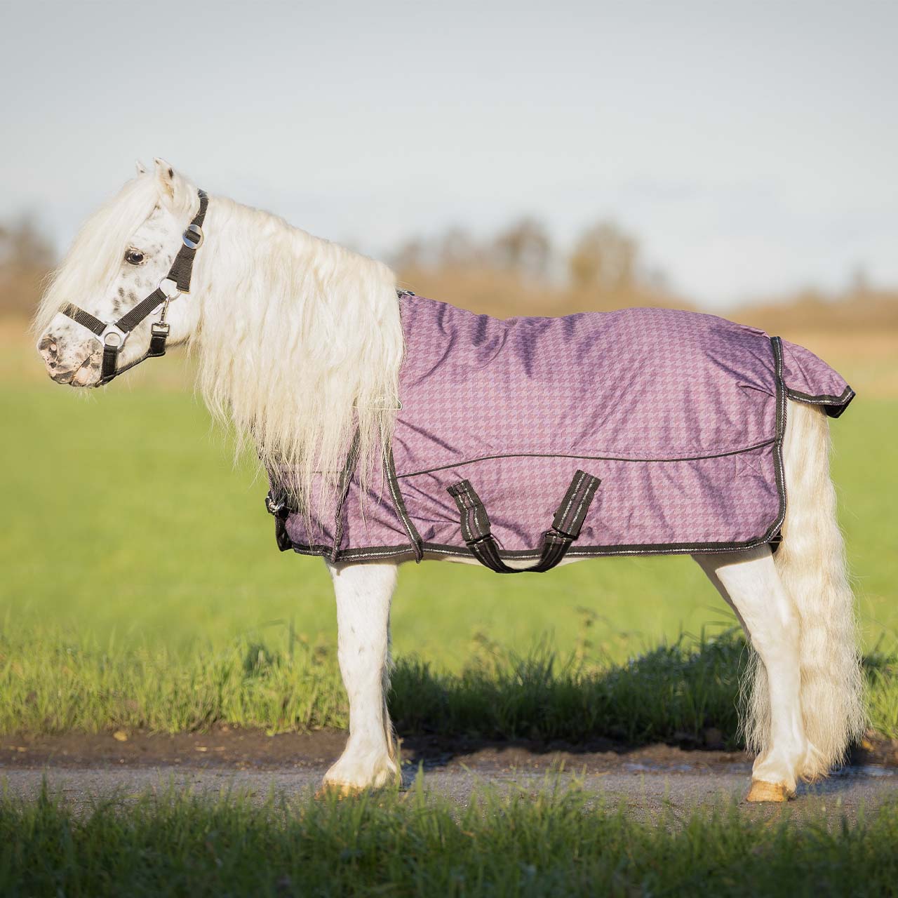 Outdoordecke Falabella 600D Turnout Collection 150gr