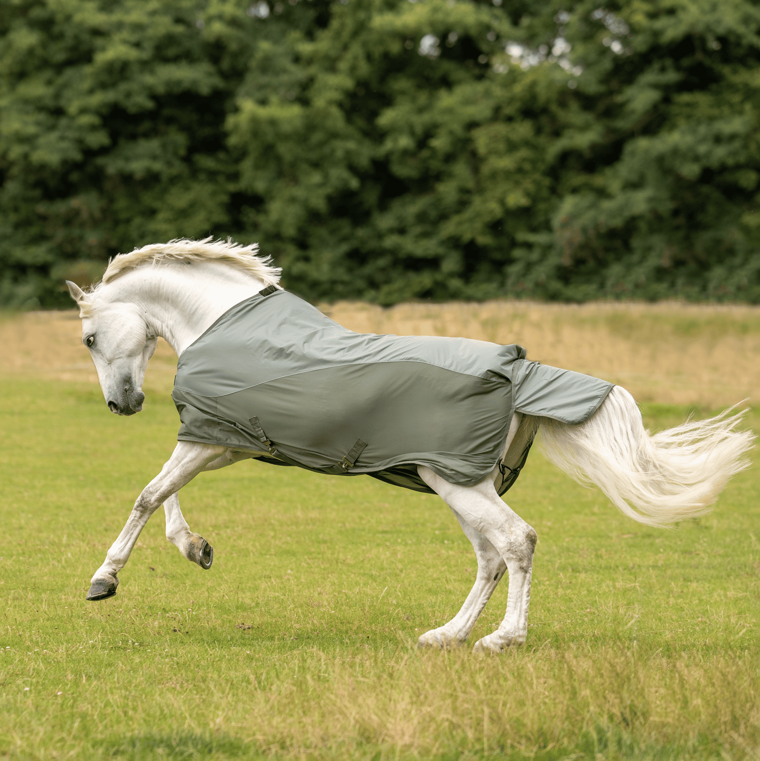 BUSSE Outdoordecke RAINFLY