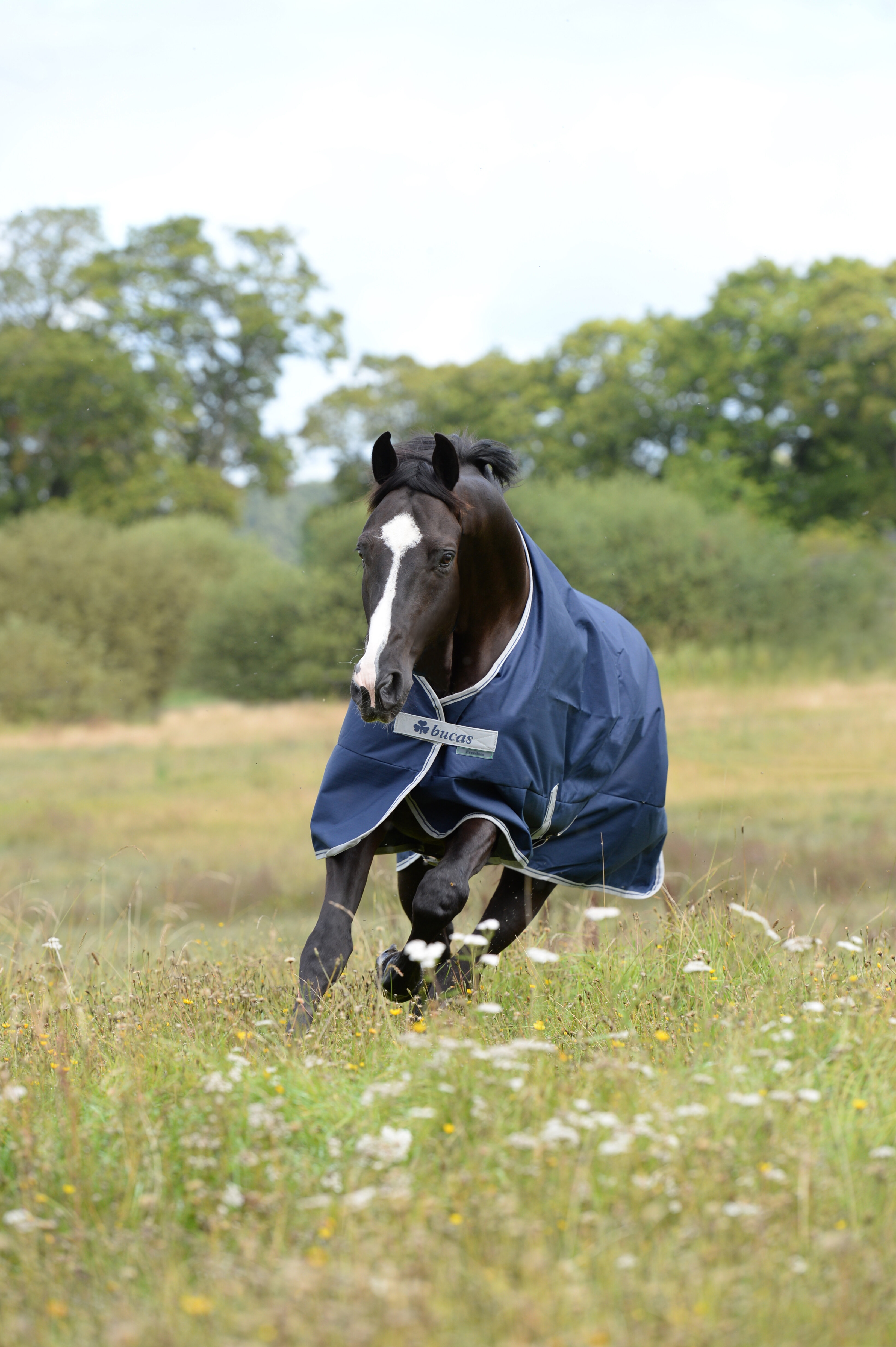 Outdoordecke Freedom Turnout Light High Neck in Navy